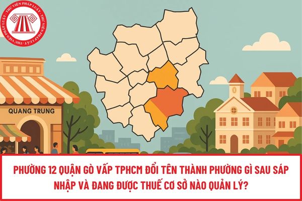 Pháp luật