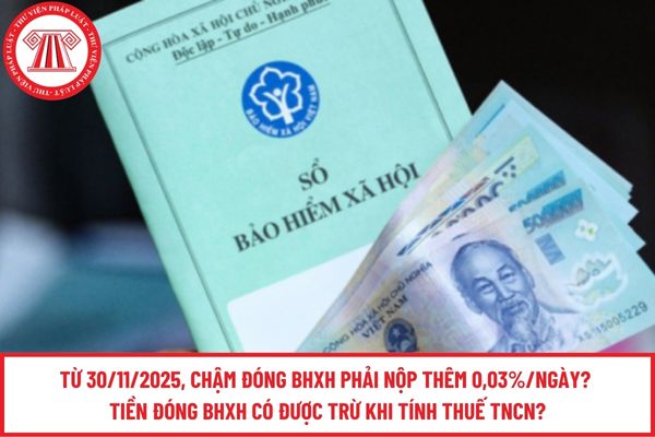 Pháp luật