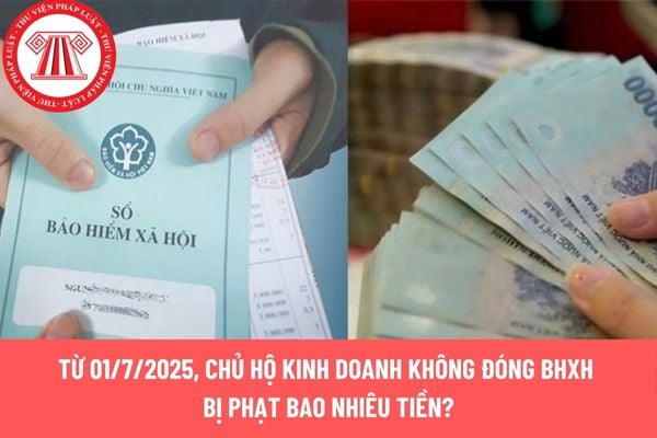 Pháp luật