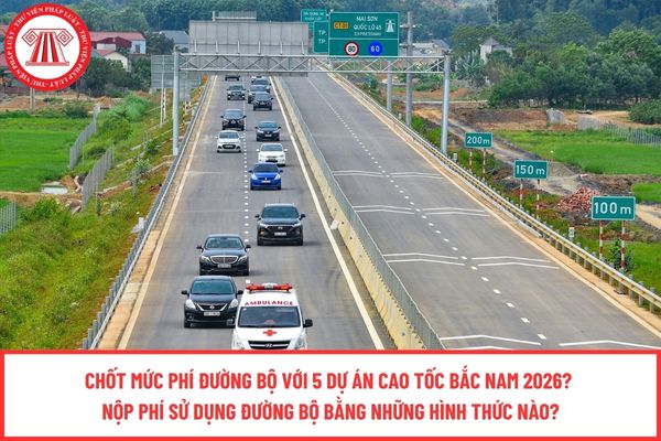 Pháp luật