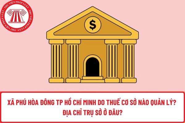 Pháp luật
