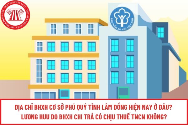 Pháp luật