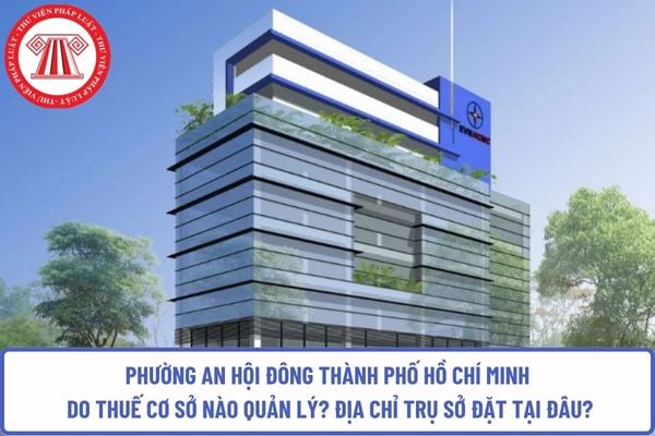 Pháp luật