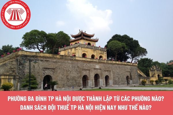 Pháp luật