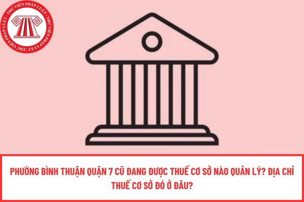 Pháp luật