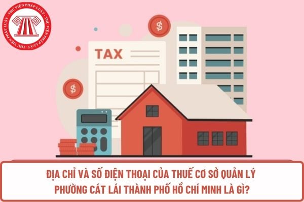 Pháp luật