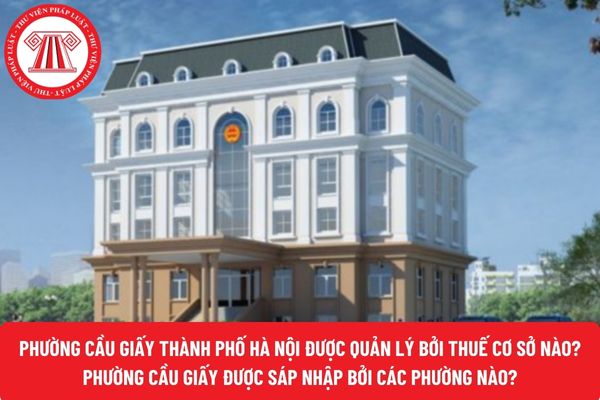 Pháp luật