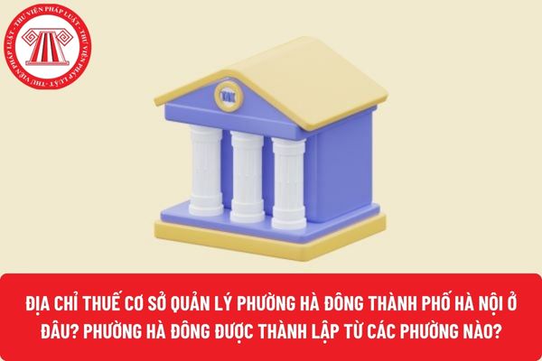 Pháp luật