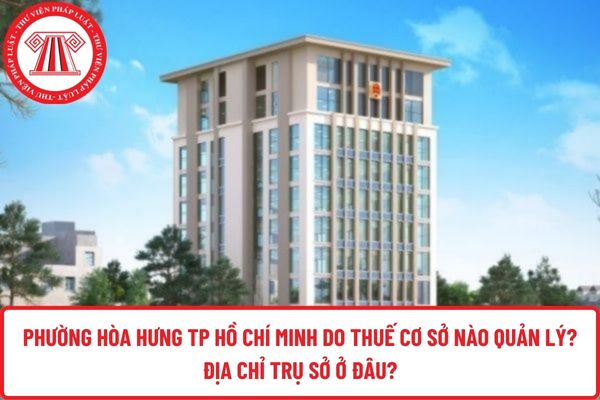 Pháp luật