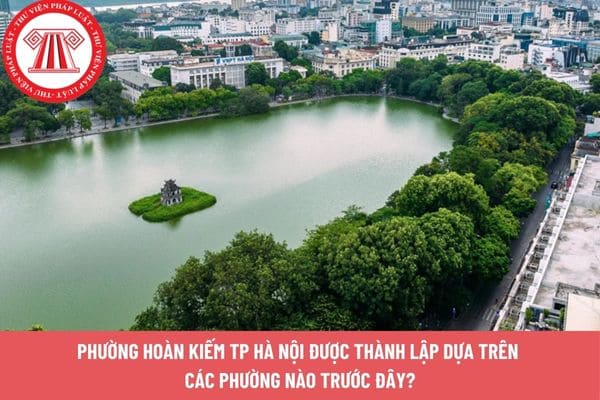 Pháp luật