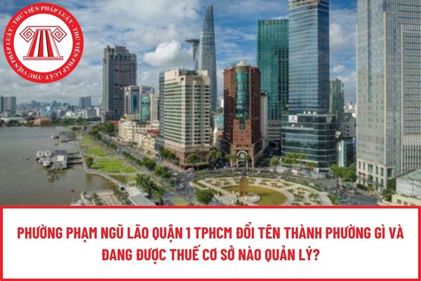 Phường Phạm Ngũ Lão Quận 1 TPHCM đổi tên thành phường gì và đang được Thuế cơ sở nào quản lý?