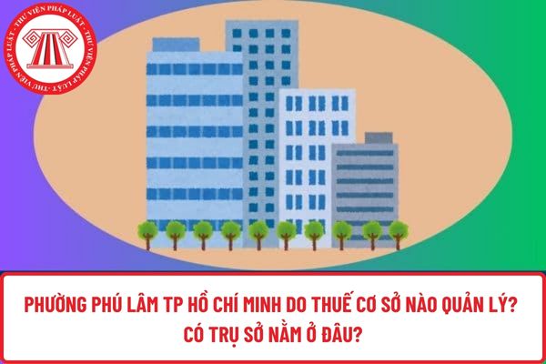 Pháp luật