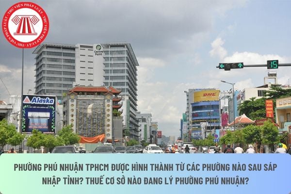 Pháp luật