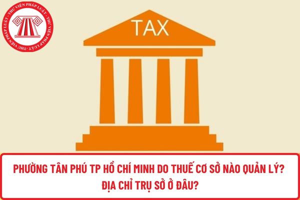 Pháp luật
