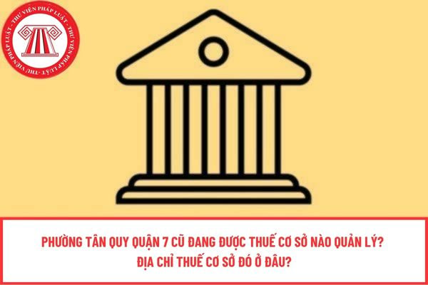 Pháp luật