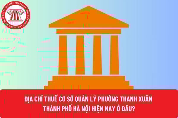 Pháp luật