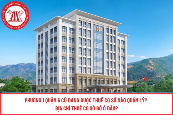 Pháp luật