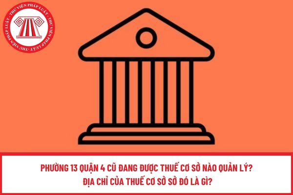 Pháp luật