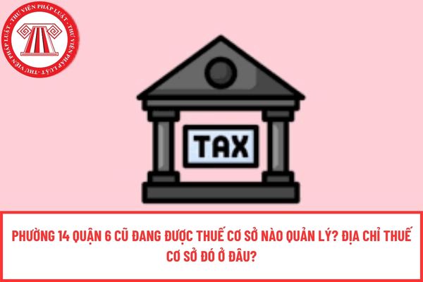Pháp luật