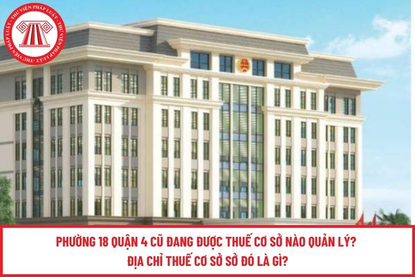 Pháp luật