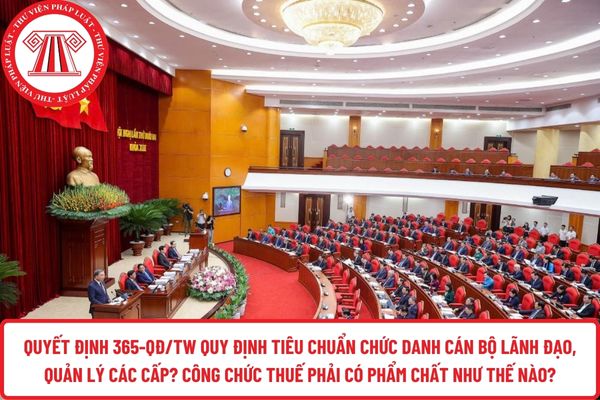 Pháp luật