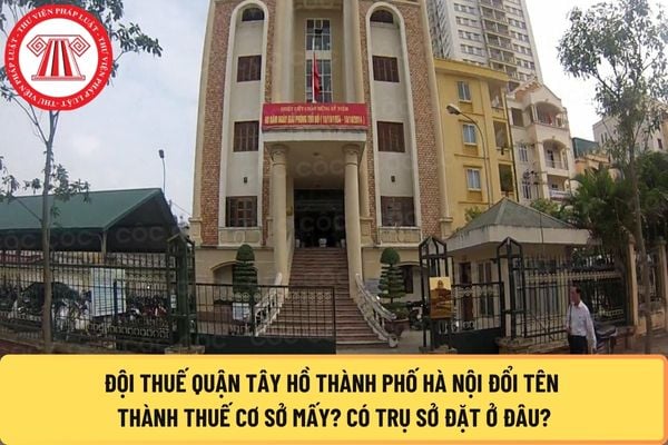 Pháp luật