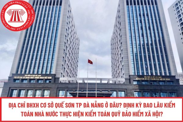 Pháp luật