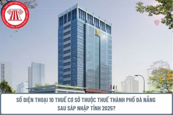 Pháp luật