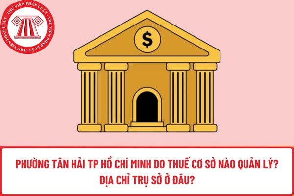 Pháp luật