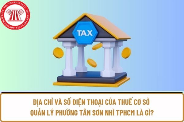 Pháp luật