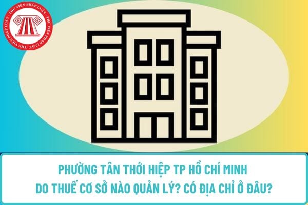 Pháp luật