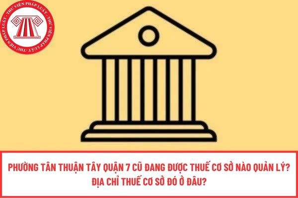 Pháp luật