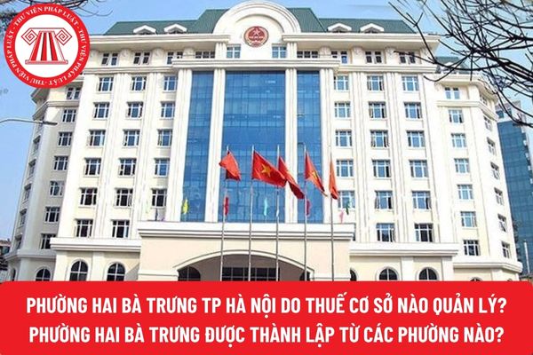Pháp luật