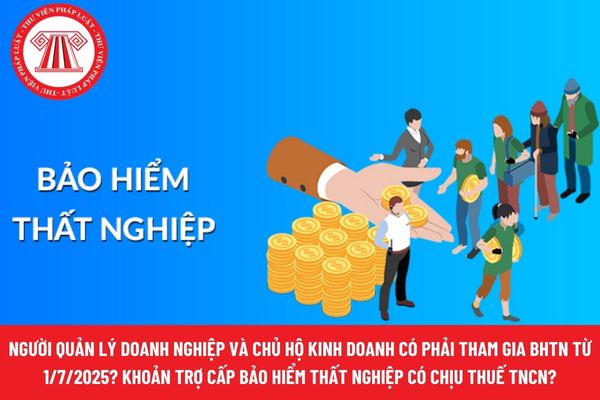 Pháp luật