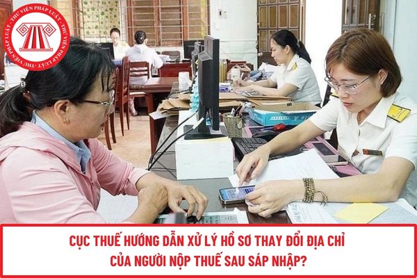 Pháp luật