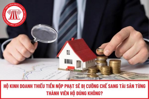 Pháp luật