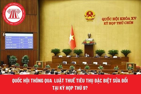 Pháp luật
