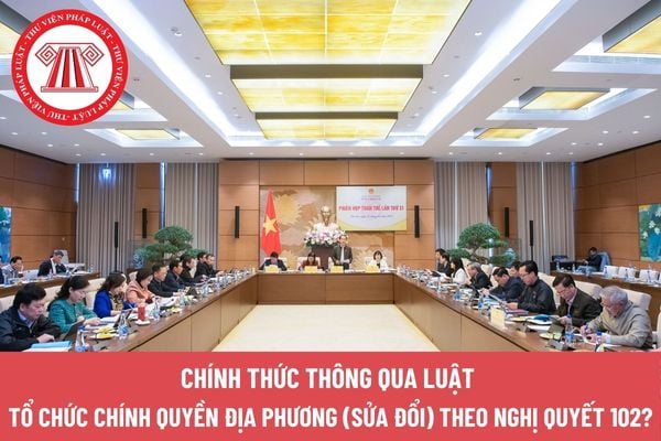 Pháp luật