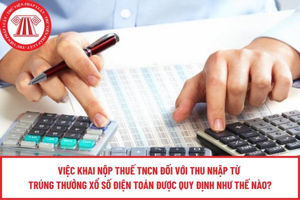 Pháp luật