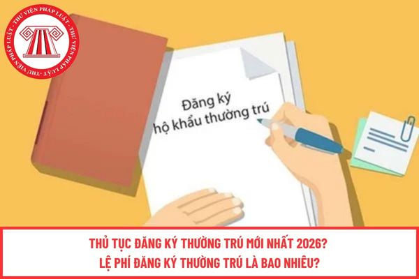 Pháp luật