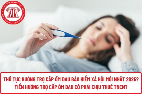 Pháp luật