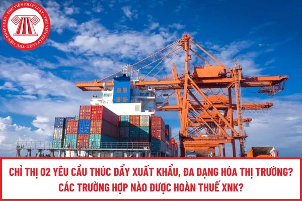 Pháp luật