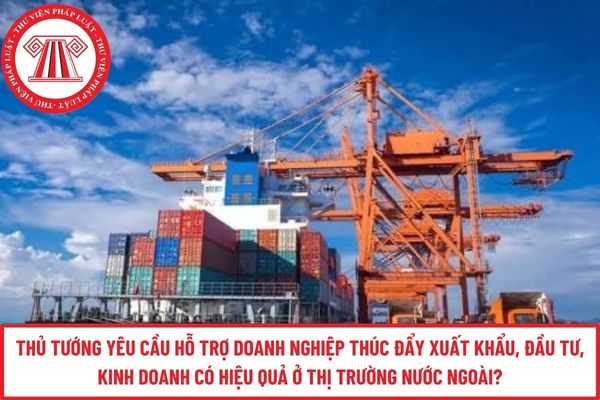 Pháp luật