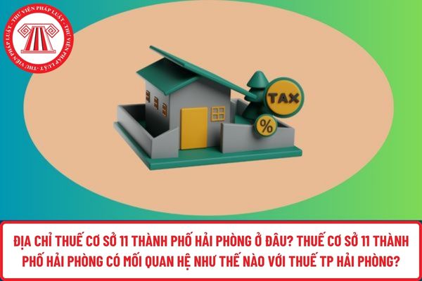 Pháp luật