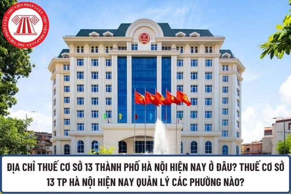 Pháp luật