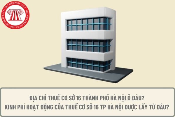 Pháp luật