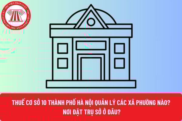 Pháp luật
