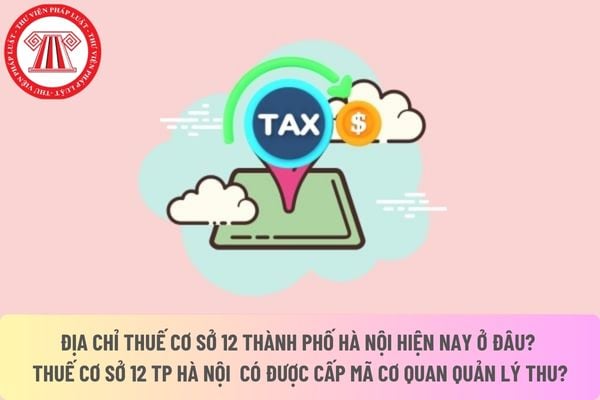 Pháp luật