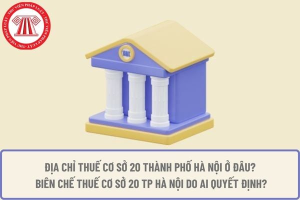 Pháp luật