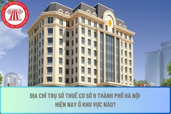 Pháp luật